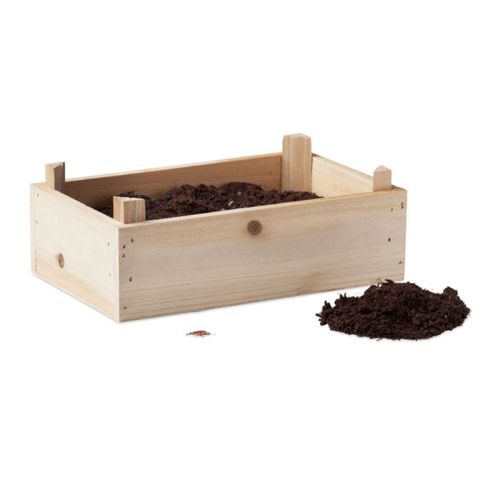 Strawberry growing kit - Image 2